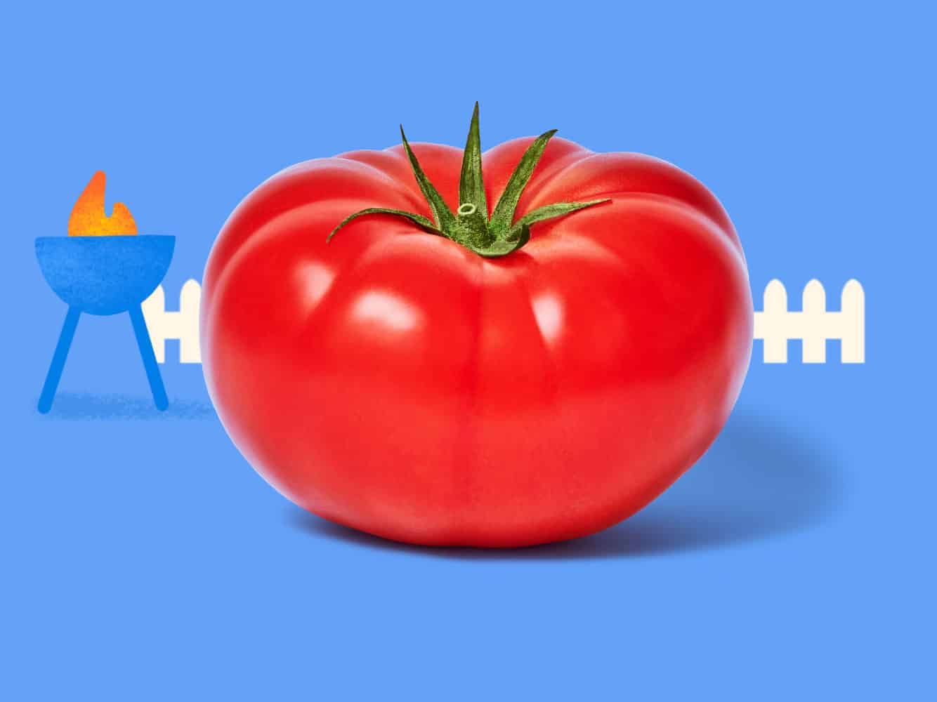 Image of beefsteak tomato